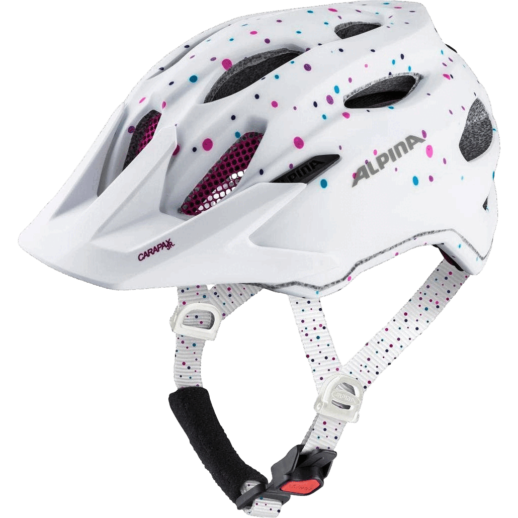mtb helm alpina carapax Alpina