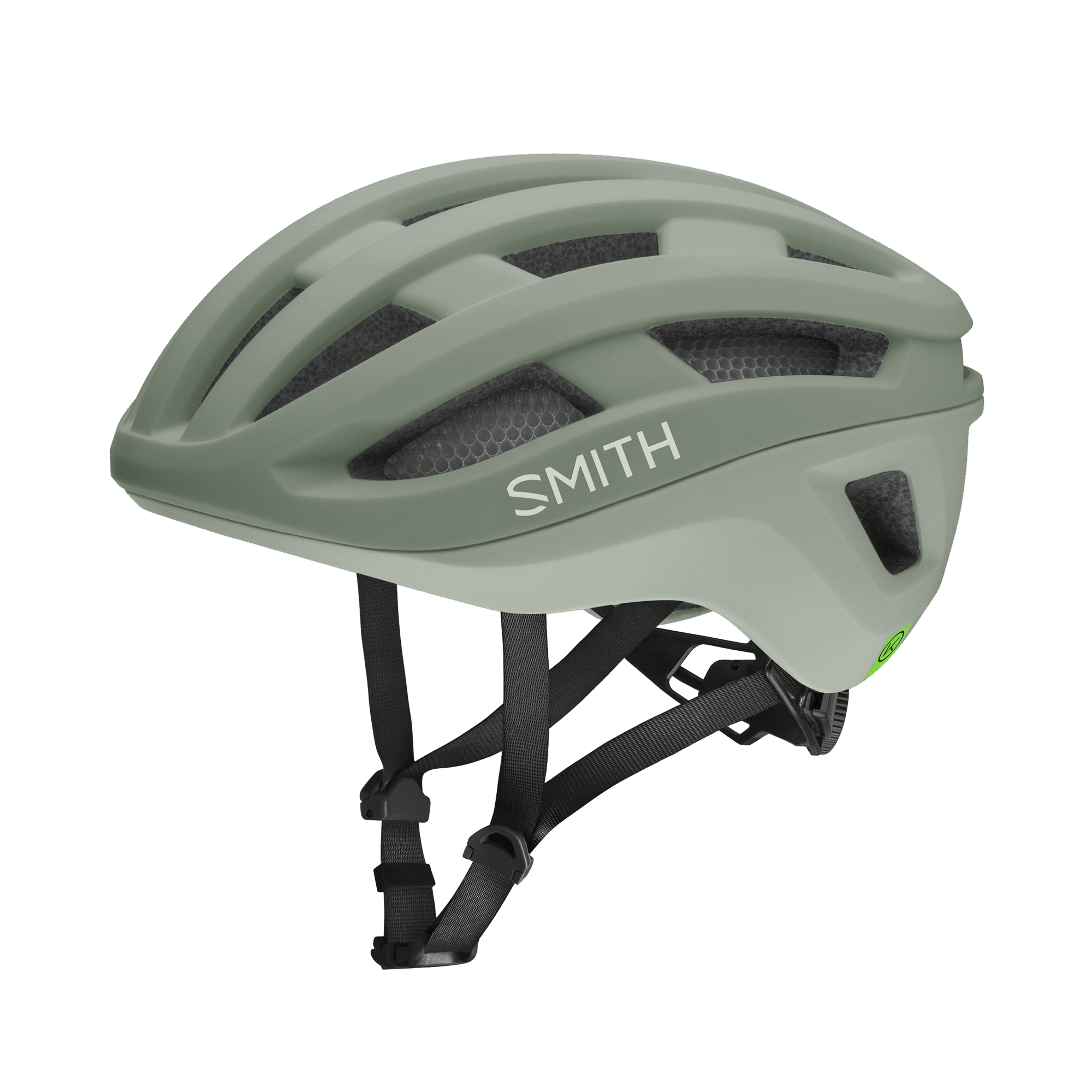 Smith - Persist Mips