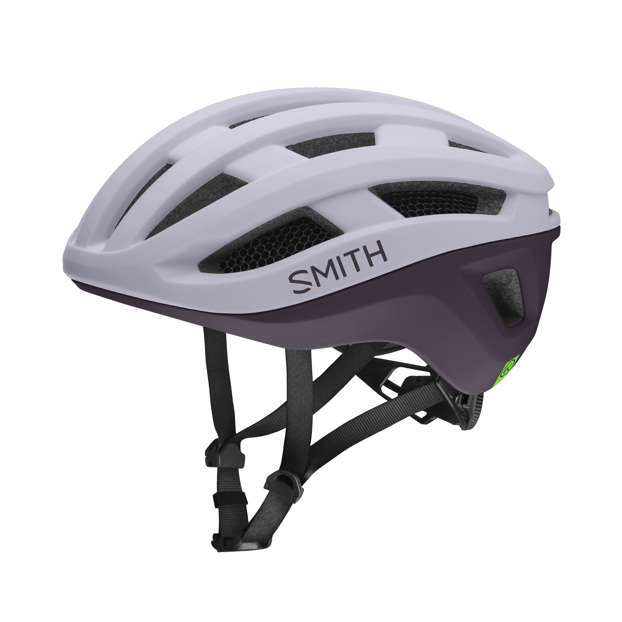 Smith - Persist Mips