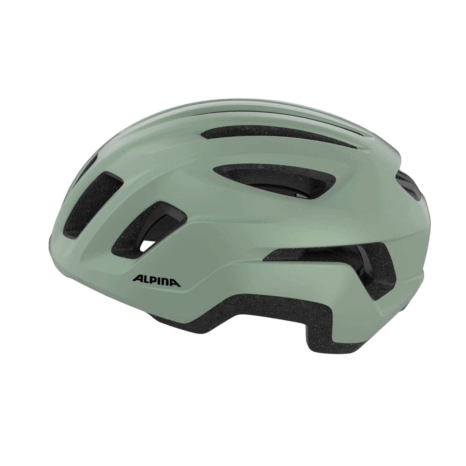 Alpina - Paranus Urban