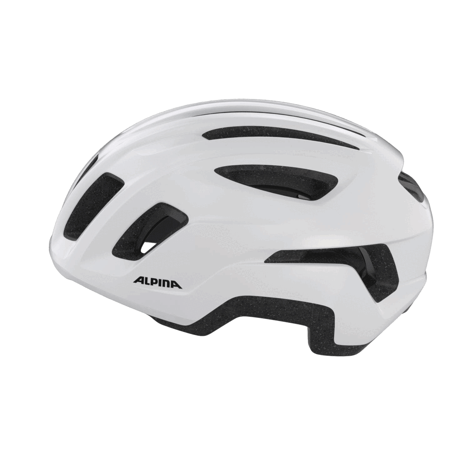 Alpina - Paranus Urban