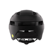 Alpina - Bloom Mips